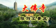 www骚B中国浙江-新昌大佛寺旅游风景区